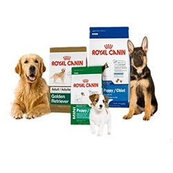 Pet Food & Accessories
