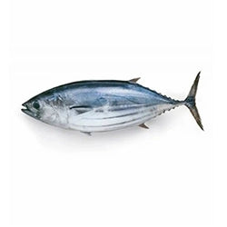 Sepa Fish Fresh Daily Meat, Seafood, Veggies & Bakery | Order Now – Greenvalley Rwp