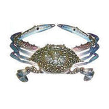 Blue Crab 1Kg