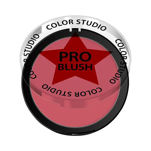 Color Studio Blush on DESERT ROSE 217