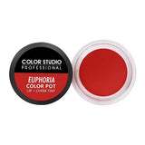 Color Studio Color Pot Lip Rage 1605