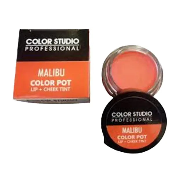 Color Studio Color Pot Lip Gosh - 1521