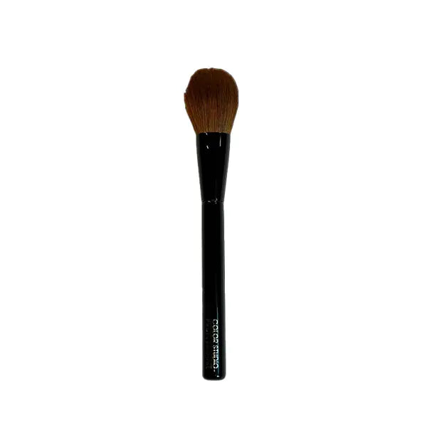 Color Studio Invincible Foundation N10