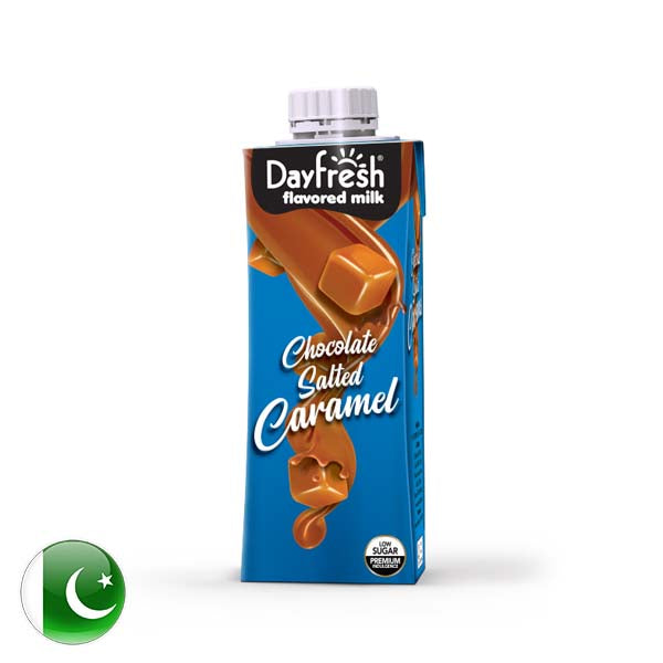 Dayfresh Flavoured Milk Salted Caramel 225ml