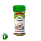 Freshmate Chatkhara Podina Raita Mix 100Gm