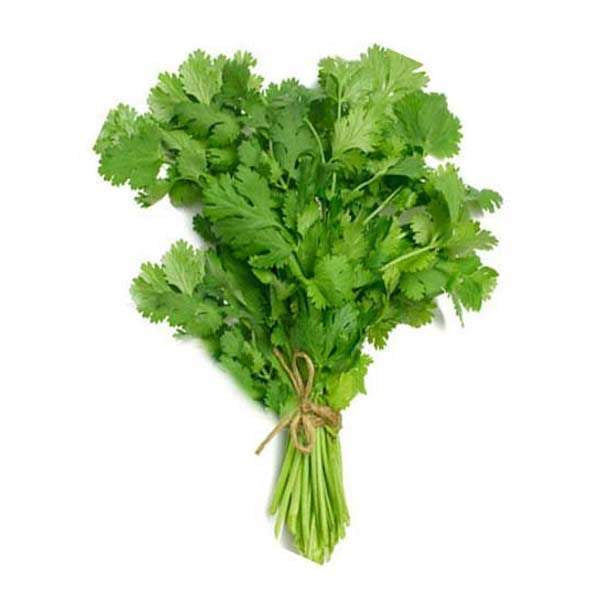 Coriander 1Bunch