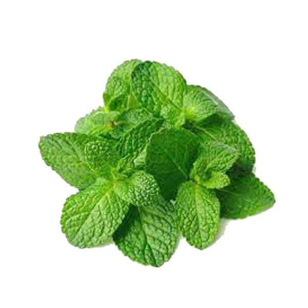 Mint Fresh 1Bunch