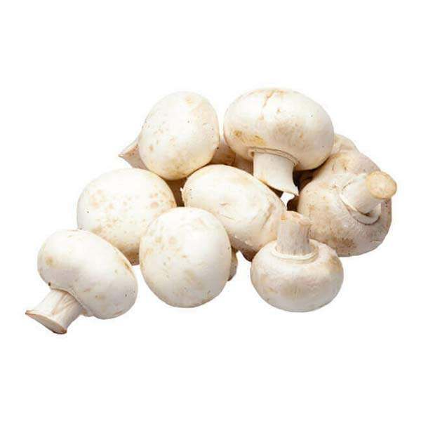 Mushroom (White) 1Pack