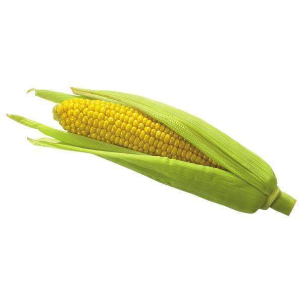 Sweet Corn 1 Pack