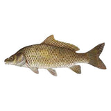 Gulfam Fish 1Kg