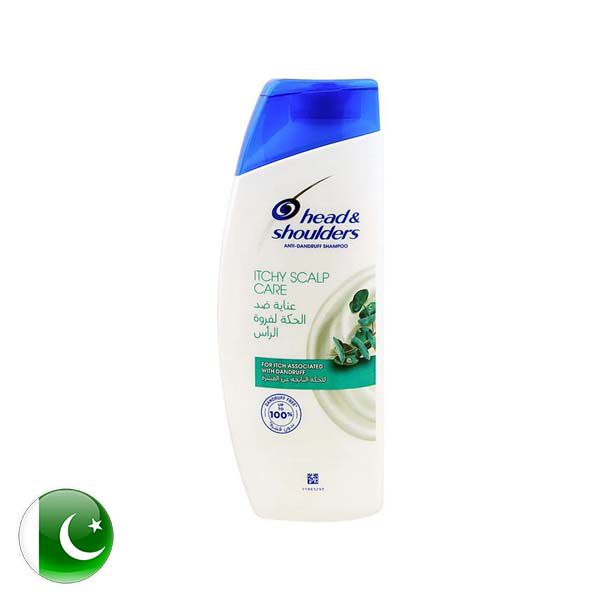 Head & Shoulders Itchy Scalp Care Shampoo 360ml