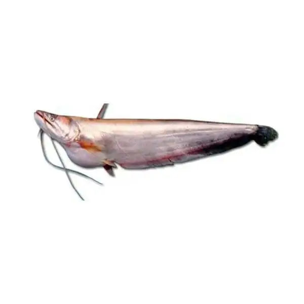 Malli Fish 1kg