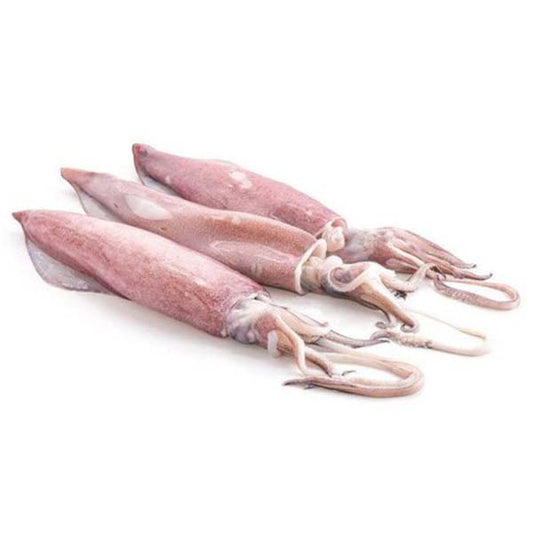 Maya (Squid Whole)