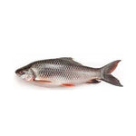 Rahu Fish 1kg