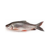 Rahu Fish 1kg