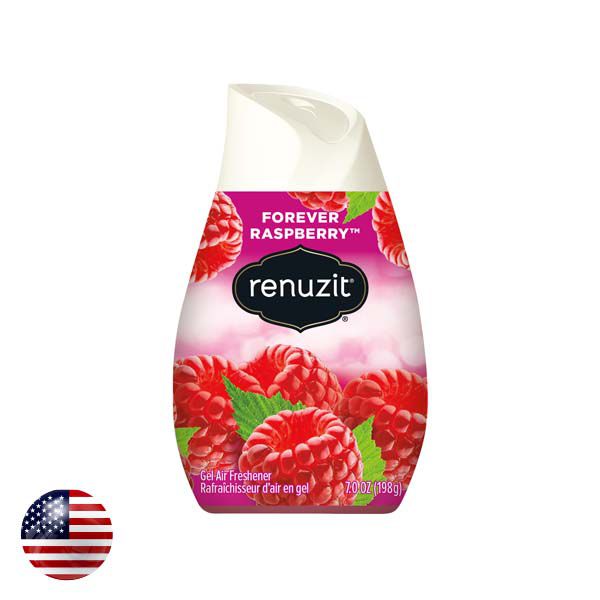 Renuzit Air Freshener Raspberry 7.5 Oz