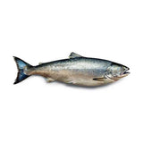 Salmon (Norway) 1Kg