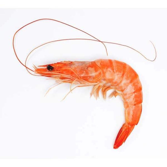 Shrimps (18/25) 8/12 1Kg