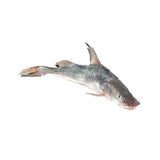 Singhari Fish 1Kg