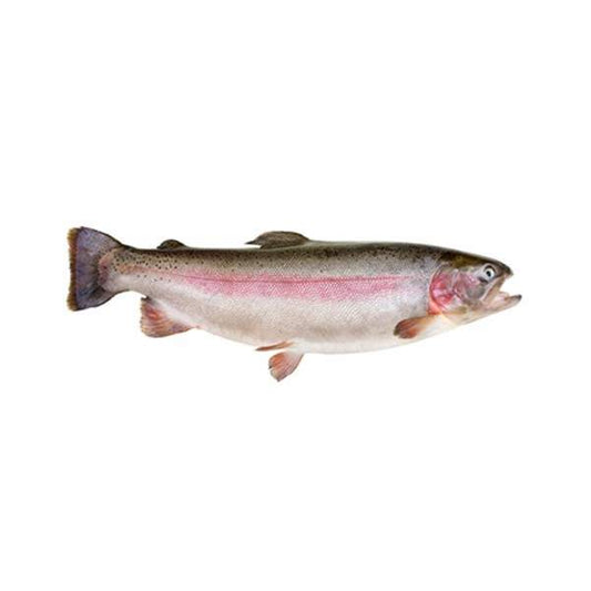 Trout Fish 1Kg