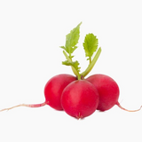 Wellness Red Radish 300gm