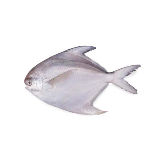 White Pomfret Small 1Kg