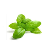 Basil Leaves 1 Bunch