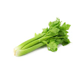 Celery 1 Bunch