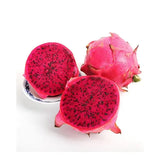 Dragon Fruit 1Pack