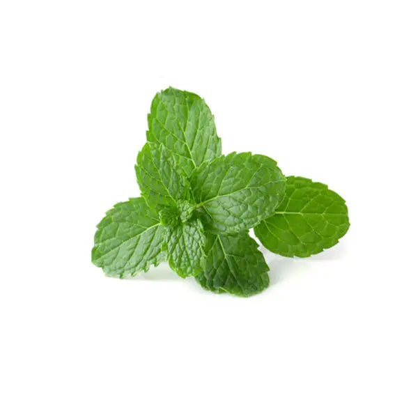 Organic Mint  1pc