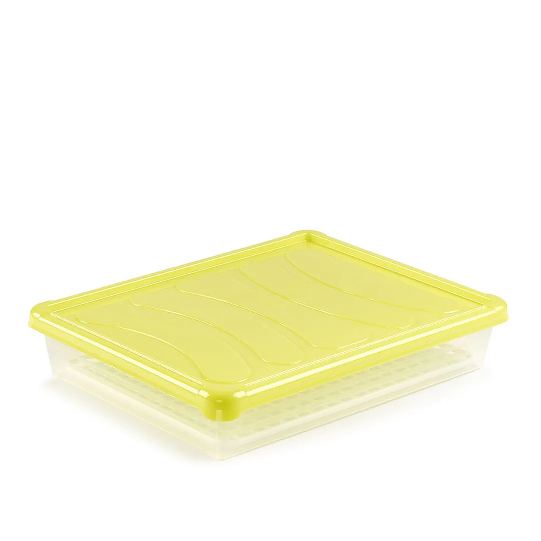 Plastic Forte Color Tray With Lid