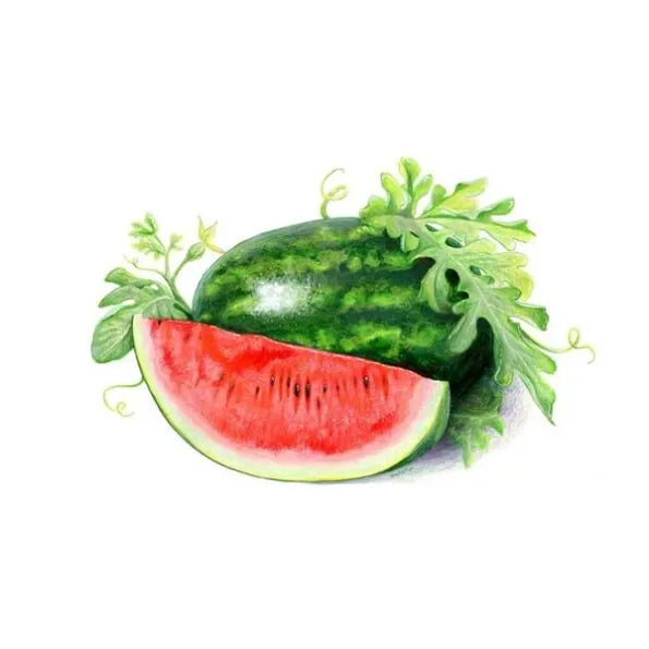 Watermelon 1Kg