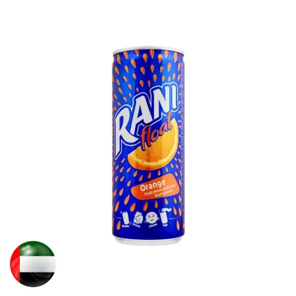 Rani20Float20Orange20Drink20Can2024020ml.webp