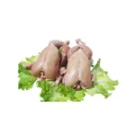 Whole-Chicken-Without-Skin-1-KG